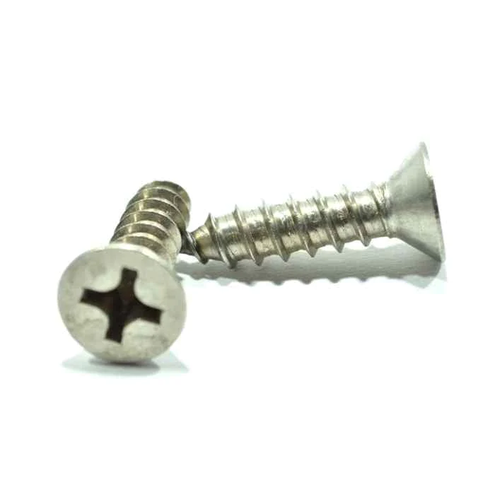 [PPPAIN10X2] Pija Cabeza Plana Inoxidable - # 10 x 2"